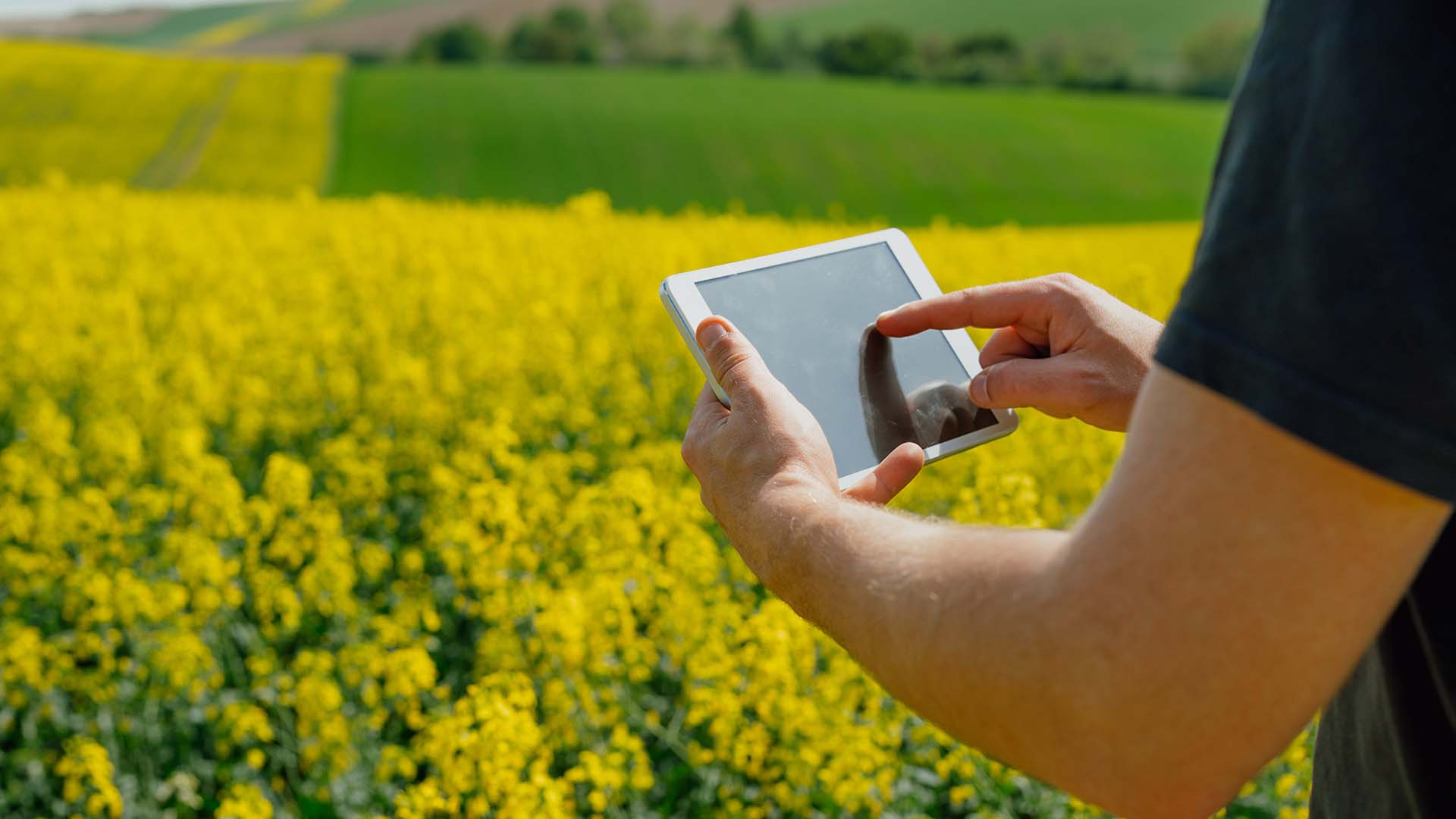 Description for Image 1