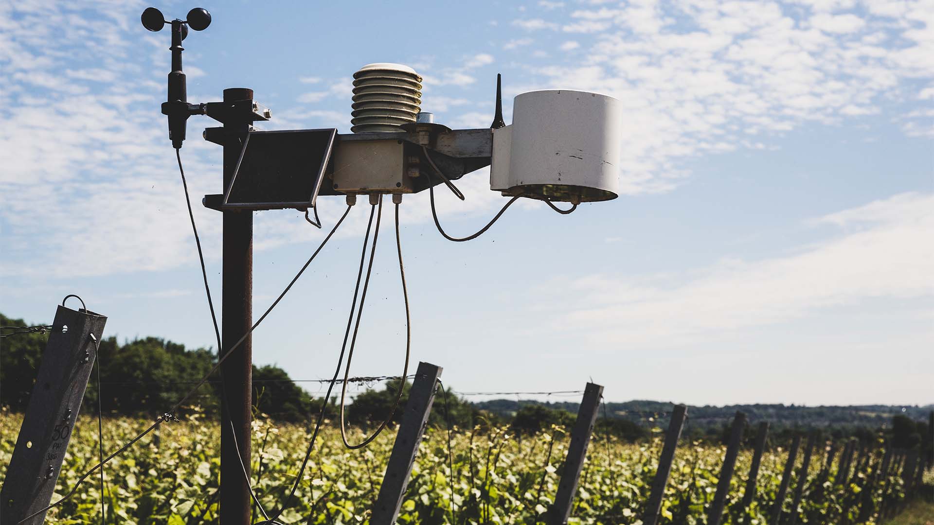 Description for Image 1